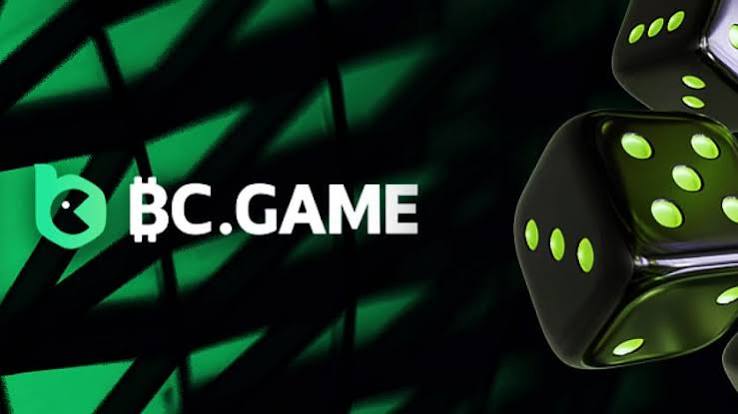 Experience Seamless Gaming with the BC.Game Mirror Mobile App
